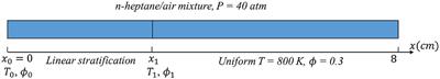 Auto-Ignition and Reaction Front Dynamics in Mixtures With Temperature and Concentration Stratification